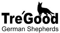 Tre Good German Shepherds - Breeding and Training Dogs